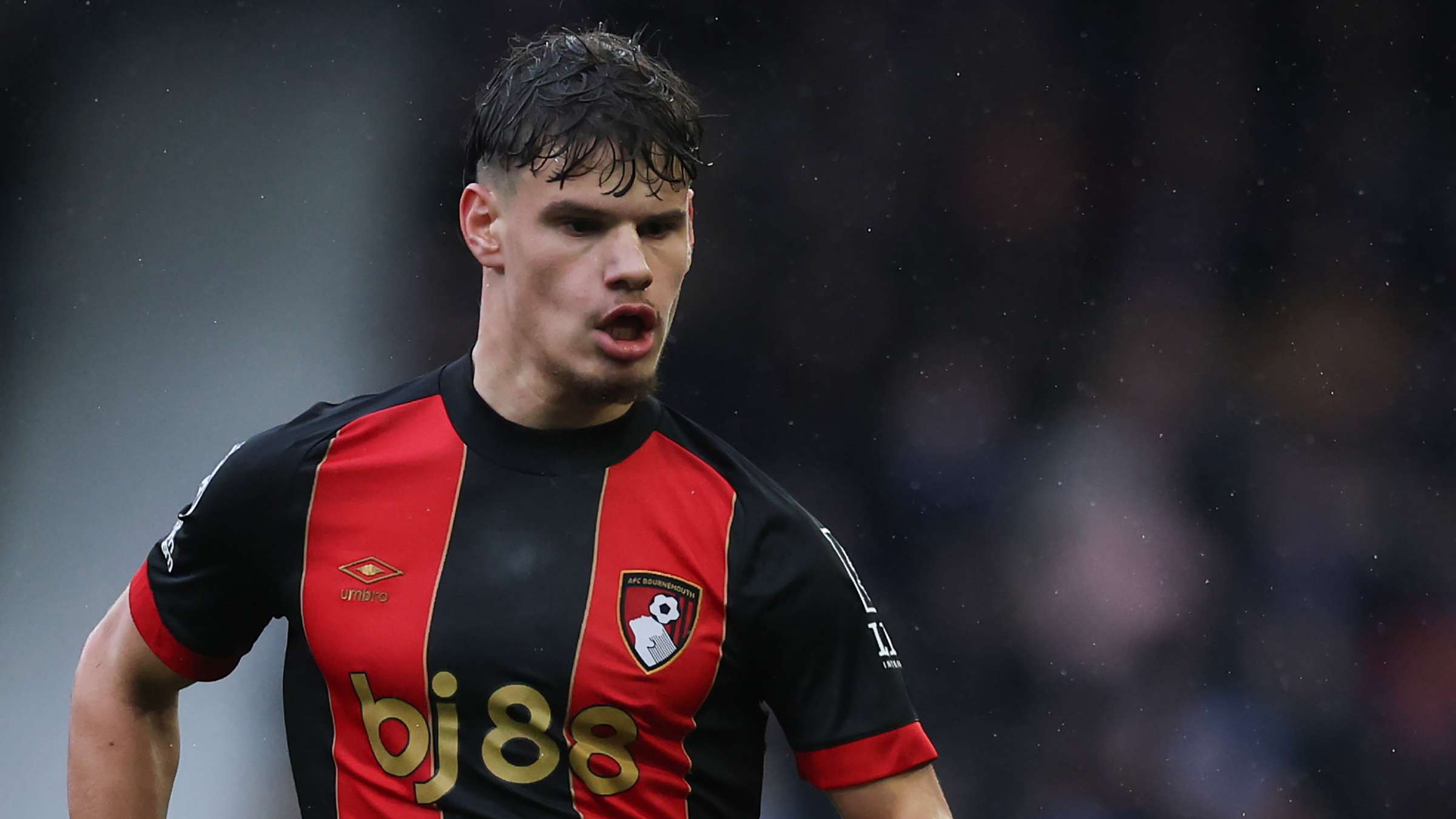 在门前近距 在门前近距