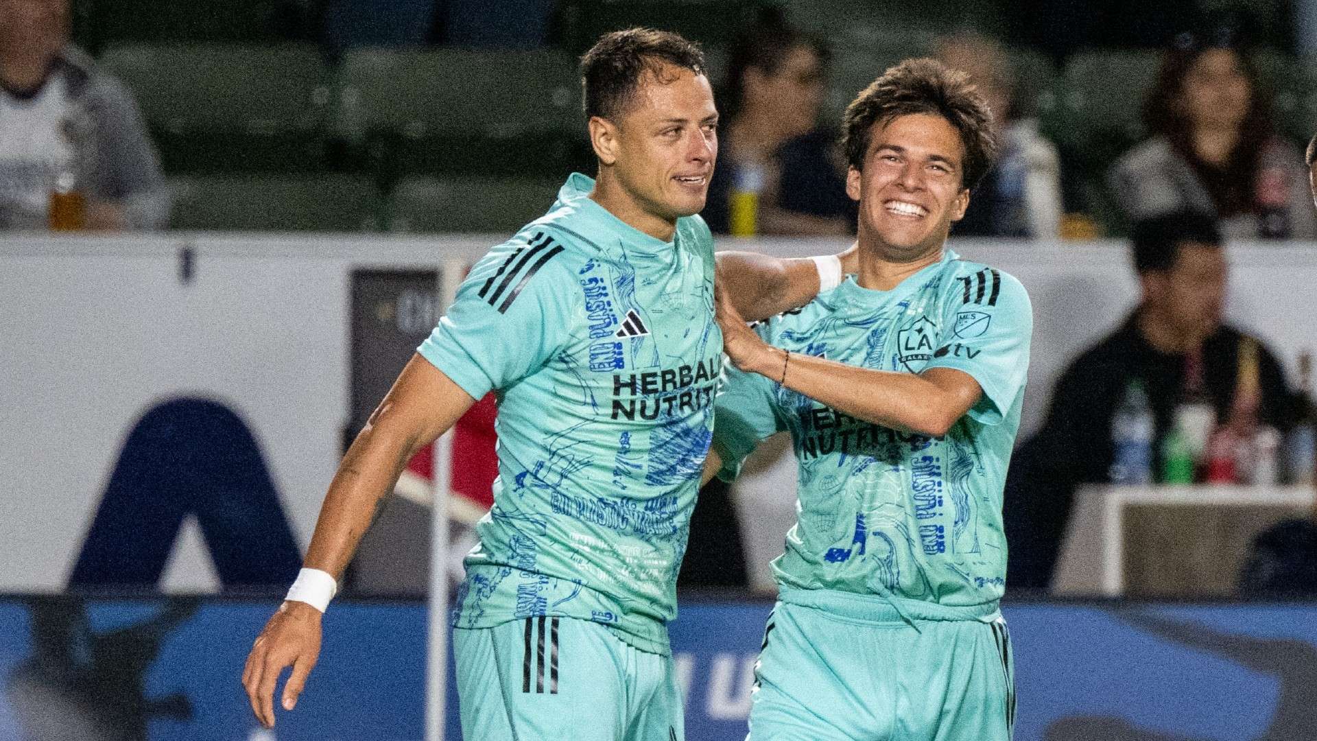 他與周琦 他與周琦